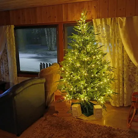 Traditional House Rovaniemi