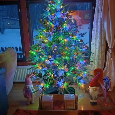 Prázdninový dům Traditional House