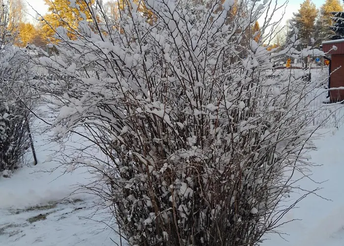 Traditional House Holiday home