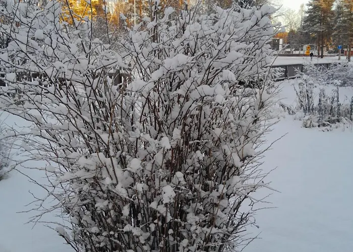 Holiday home Traditional House Rovaniemi